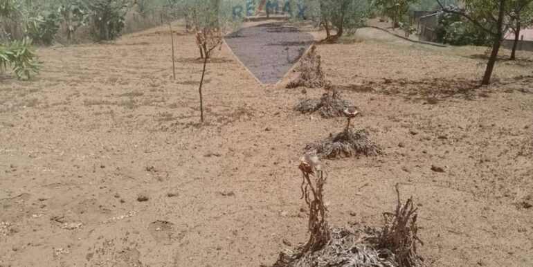 2025111493325-1000693-9