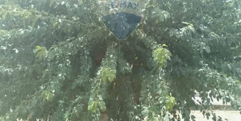 2025111493327-1000693-10