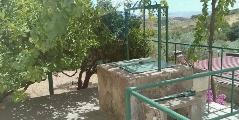 2025111493331-1000693-12