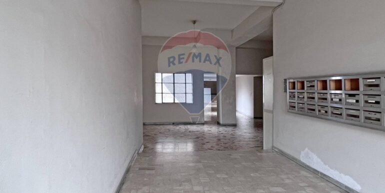 20251117131042-1001019-1