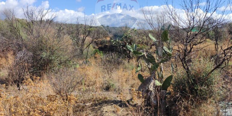 20251117183842-1000887-1