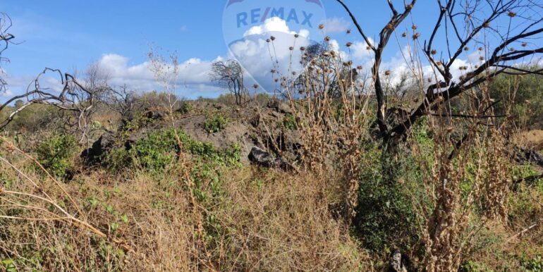 20251117183848-1000887-2