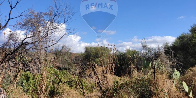 20251117183856-1000887-4