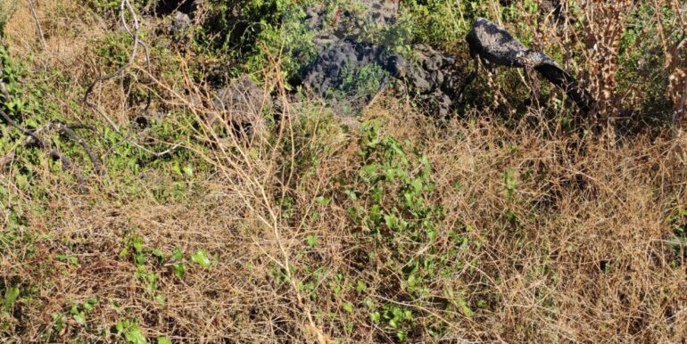 20251117183901-1000887-5