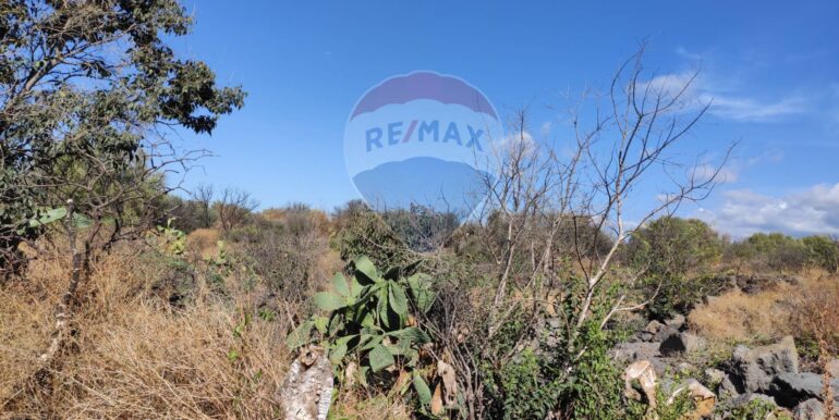 20251117183906-1000887-6