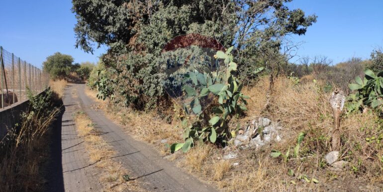 20251117183911-1000887-7