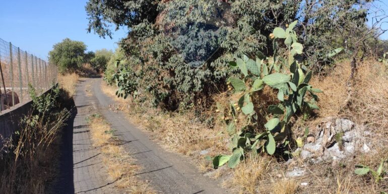 20251117183915-1000887-8