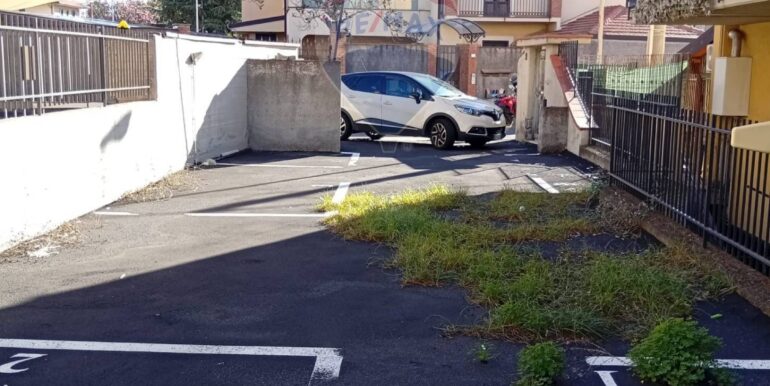 2025111790635-1000441-5