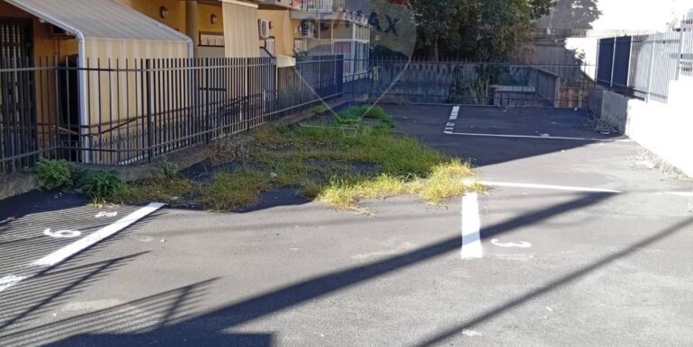 2025111790638-1000441-6