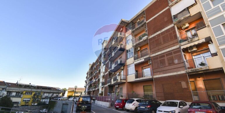 2025111793533-1000517-2