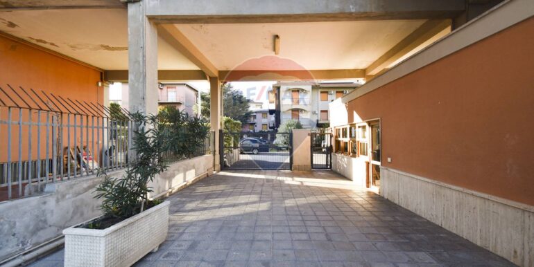 2025111793537-1000517-3