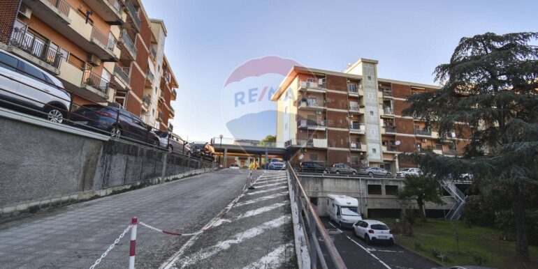 2025111793549-1000517-6