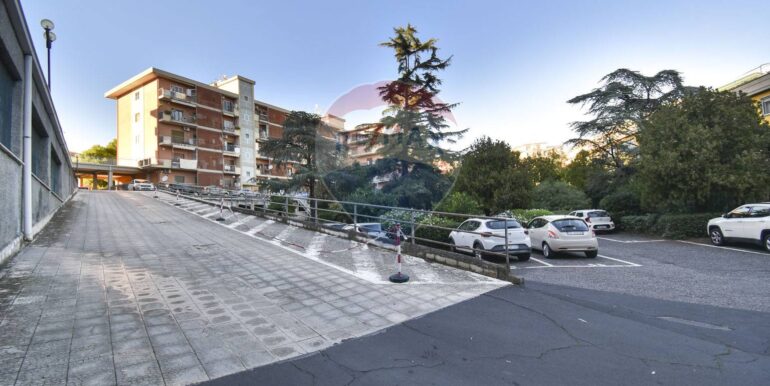 2025111793552-1000517-7