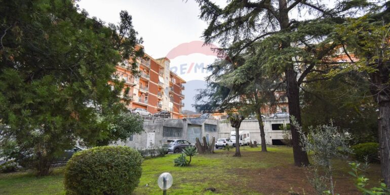 2025111793559-1000517-9