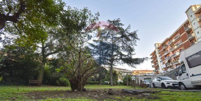 2025111793626-1000517-17