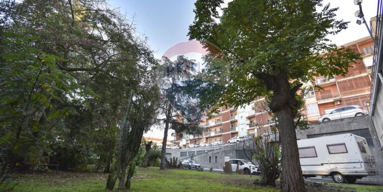 2025111793630-1000517-18