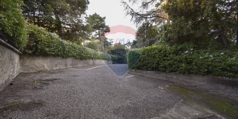 2025111793637-1000517-20