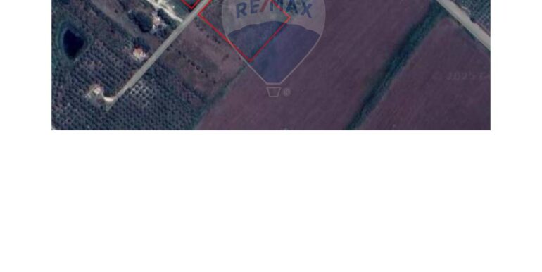 20251119152514-1000222-11