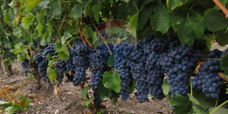 20251119224255-863699-3