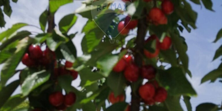 20251119224258-863699-4