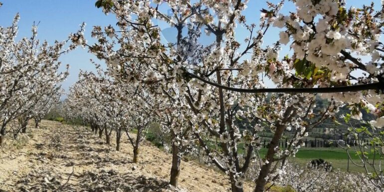 20251119224301-863699-5