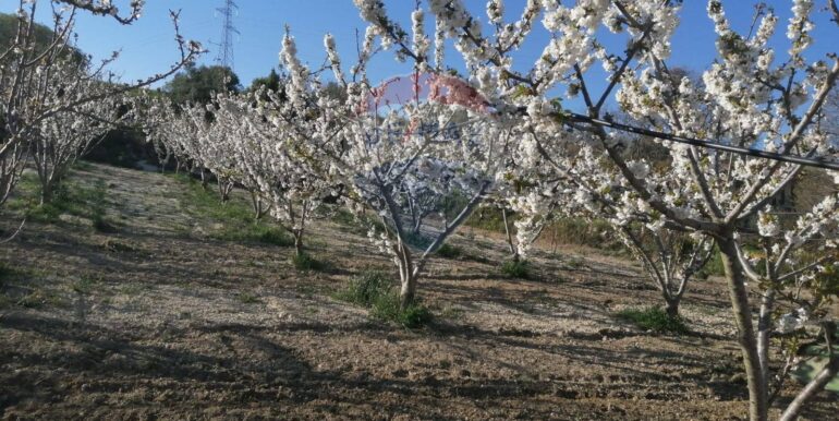 20251119224304-863699-6