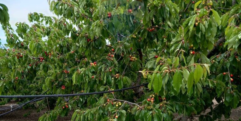 20251119224307-863699-7