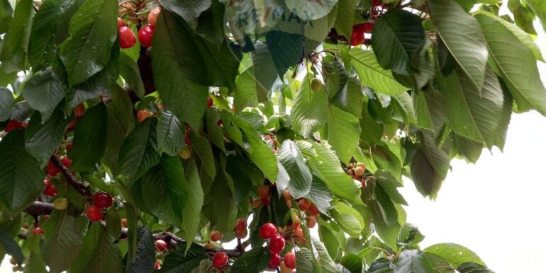 20251119224310-863699-8