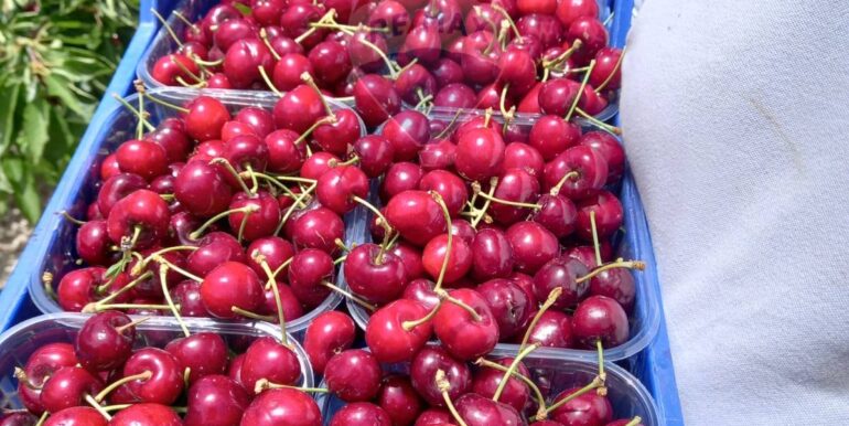 20251119224313-863699-9