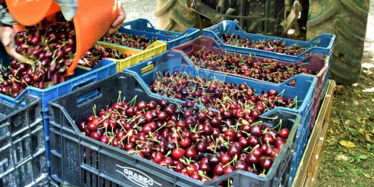 20251119224316-863699-10