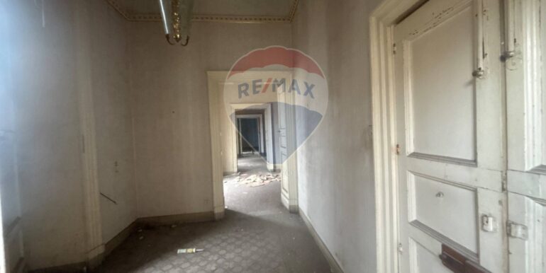 2025111942550-1002154-14