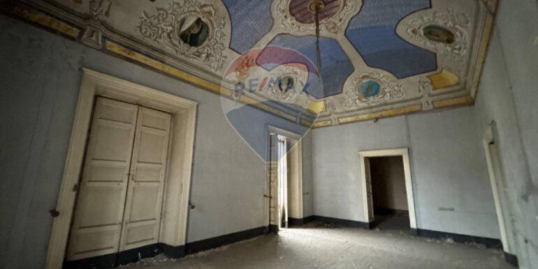 2025111942605-1002154-19