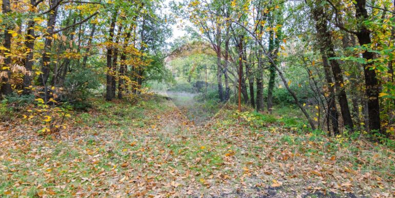 20251120214803-1002552-21