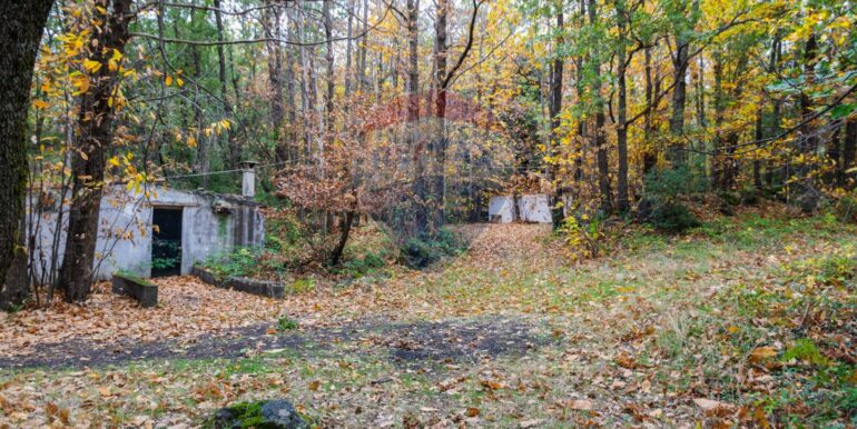 20251120214815-1002552-24