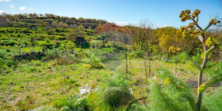 20251121172757-1002724-0