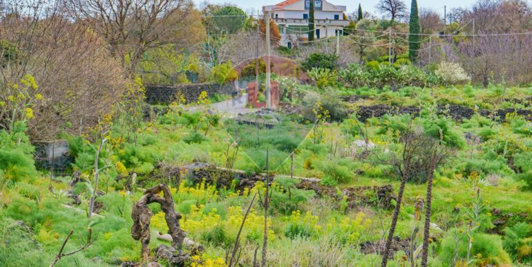 20251121172758-1002724-4