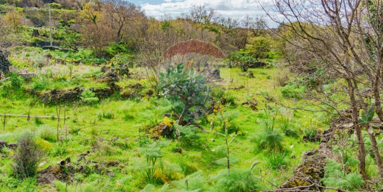 20251121172758-1002724-5