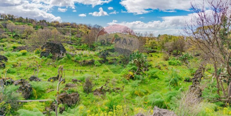 20251121172759-1002724-6