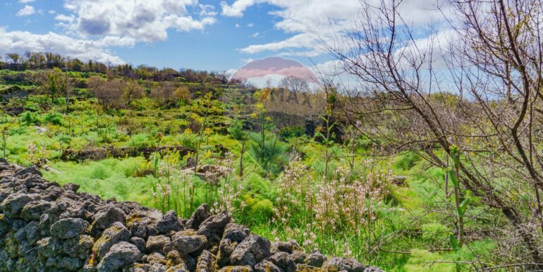 20251121172759-1002724-7