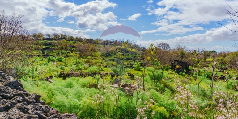 20251121172800-1002724-8