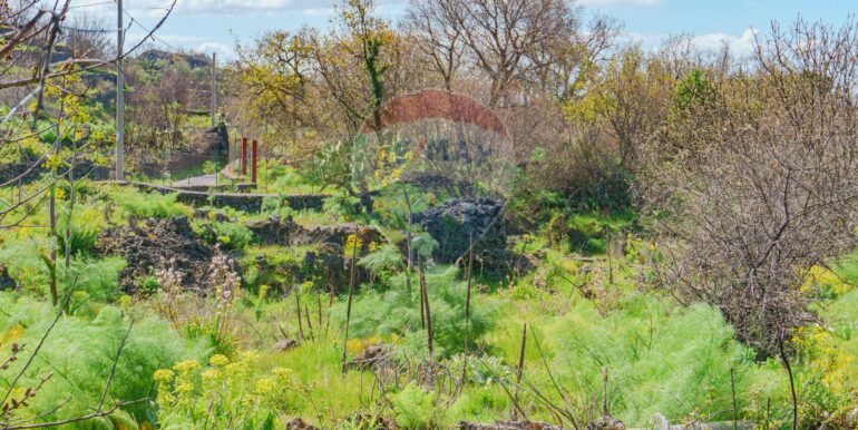 20251121172800-1002724-9