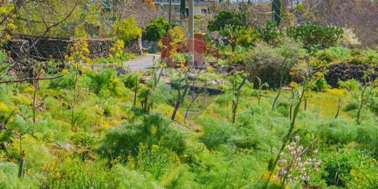 20251121172801-1002724-11