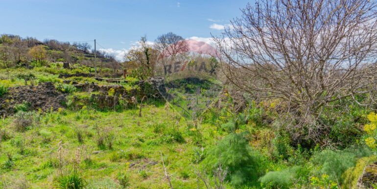 20251121172801-1002724-12