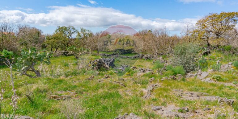 20251121172802-1002724-13