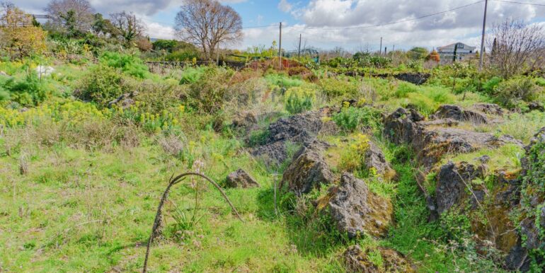 20251121172802-1002724-14