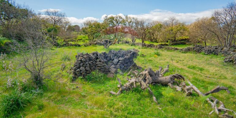 20251121172803-1002724-17