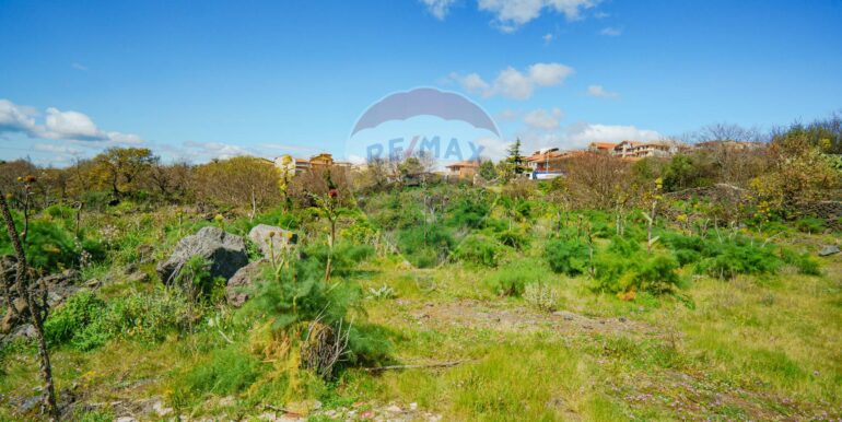 20251121172805-1002724-24