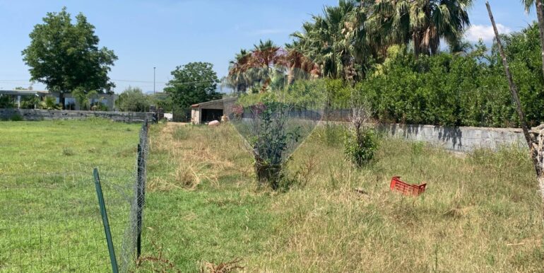 20251124100834-1002898-0