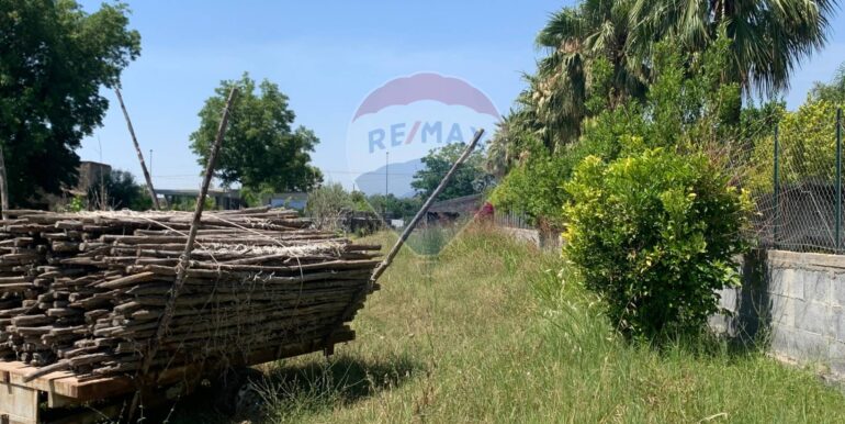 20251124100835-1002898-1