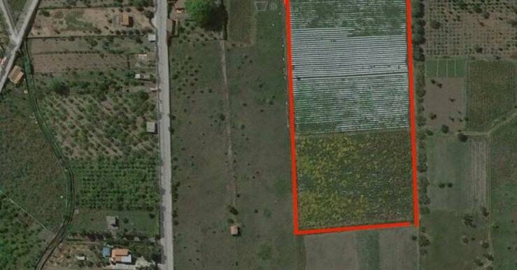 20251124100836-1002898-5